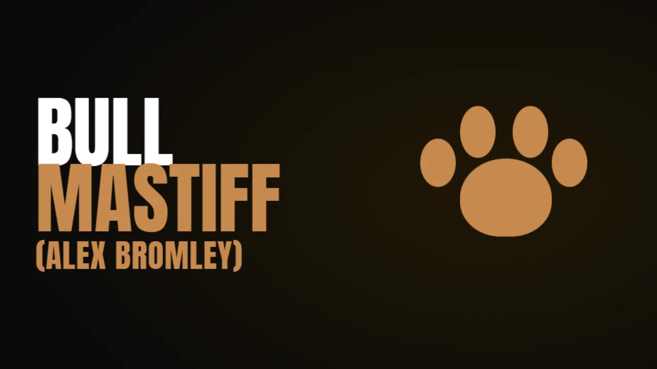 Bullmastiff program cover