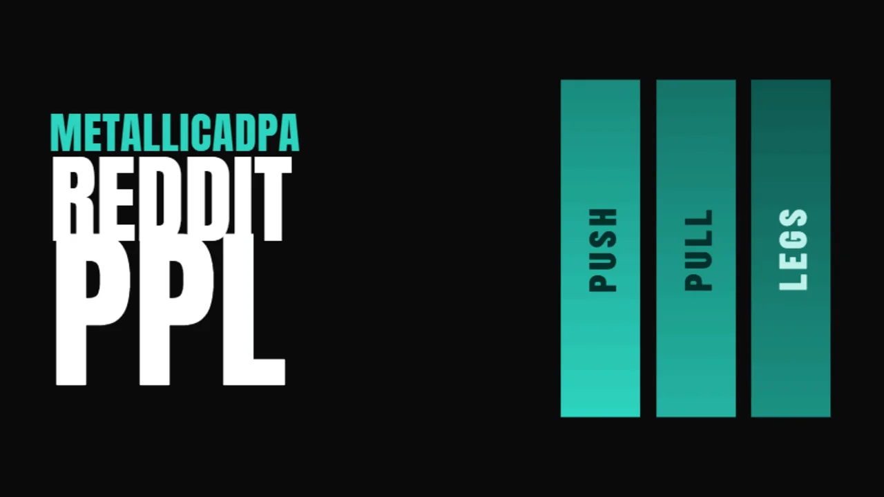 Metallicadpa PPL program cover art