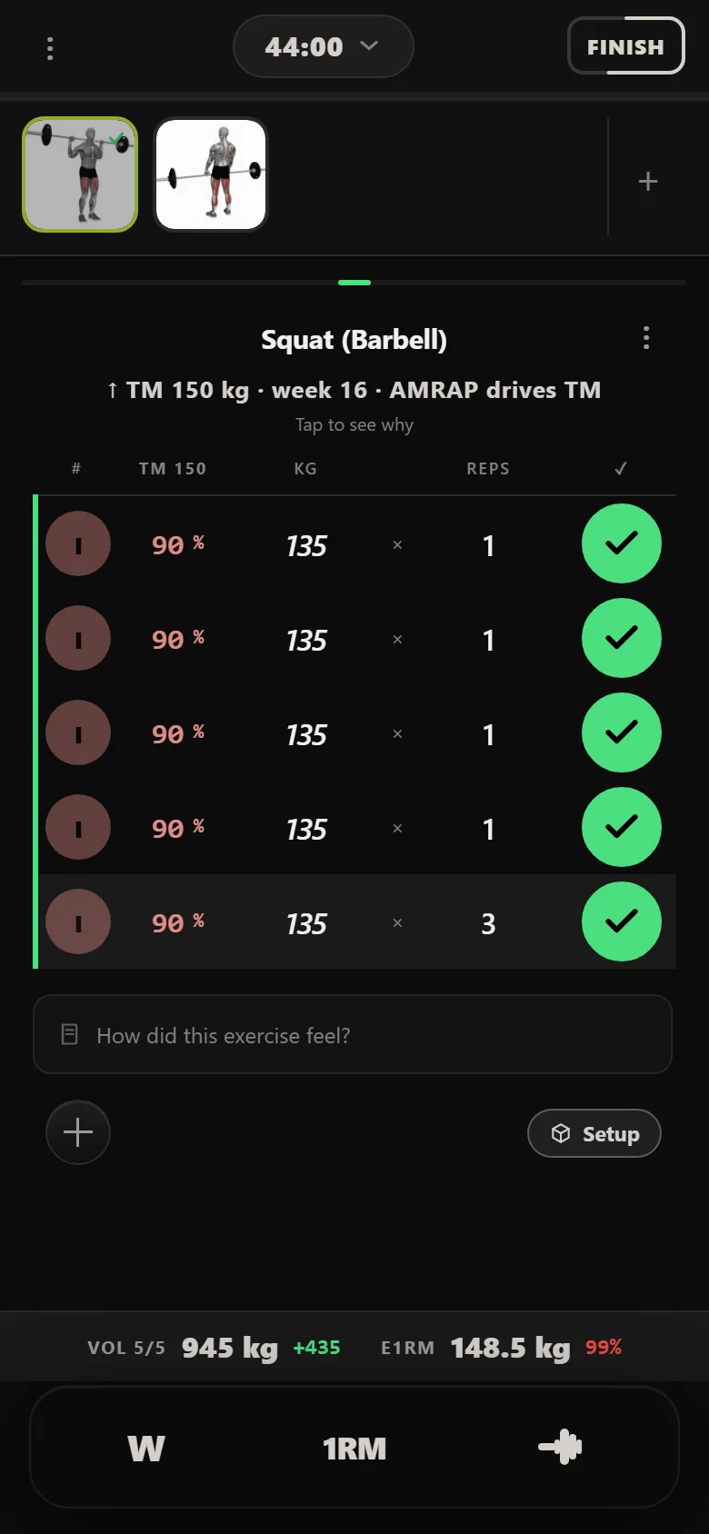Week 16 of Bullmastiff in Durata, squat singles at 135 kg